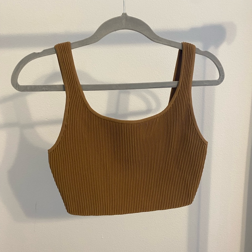 Aritzia Tank Top